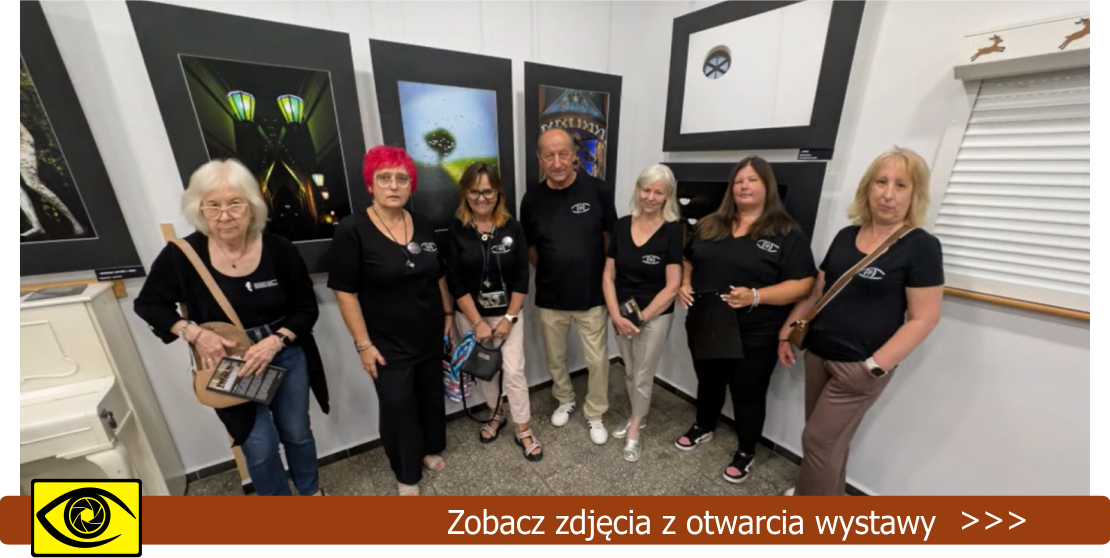 Wystawa Sosnowieckiego Stowarzyszenia Miłośników Fotografii „W Obliczu”