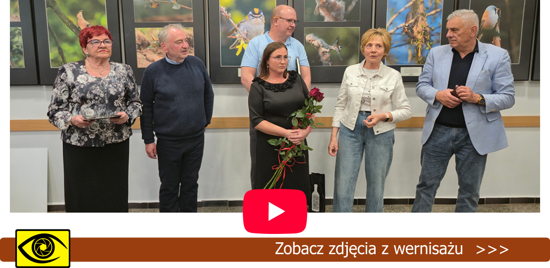 wystawa Eweliny i Wojciecha Świeściaków pt. „Symfonia o poranku”